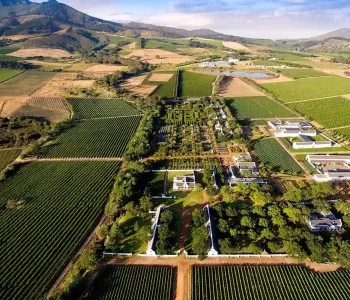 Cape Town Wine & Wildlife Experience_compressed Cape Town Wine & Wildlife Experience_compressed